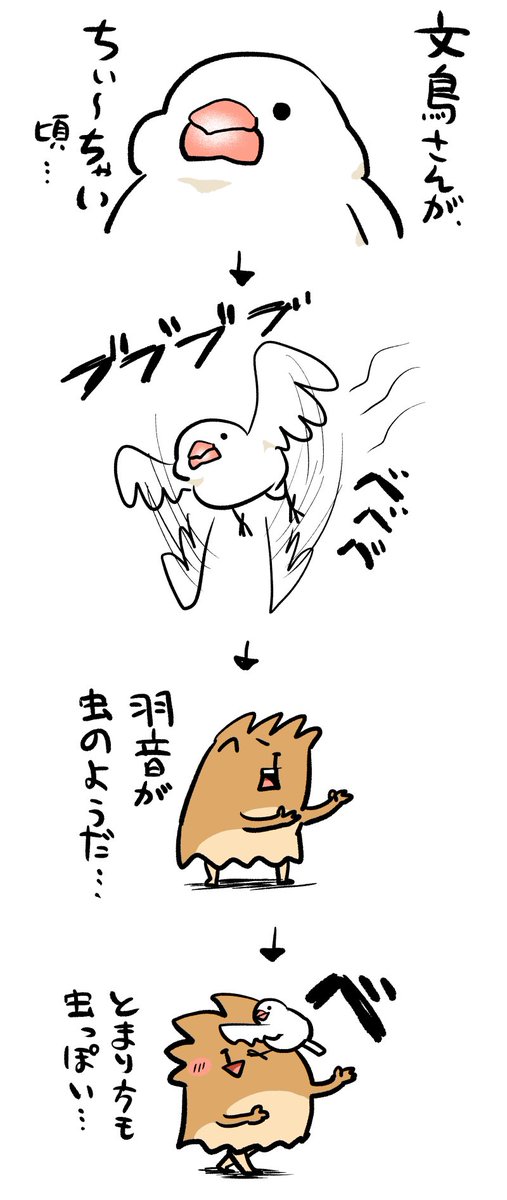 成長バード 
