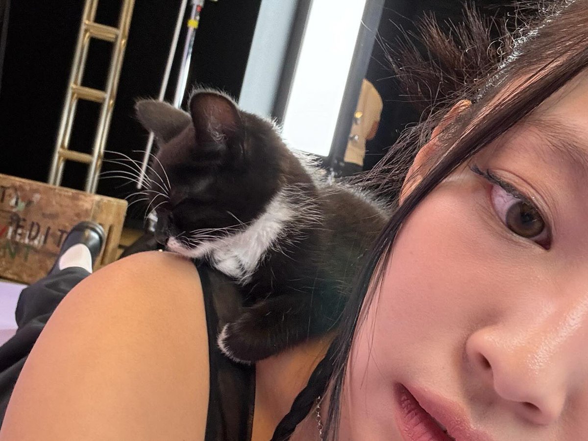 jenniepics's tweet image. two kittens 🐈‍⬛