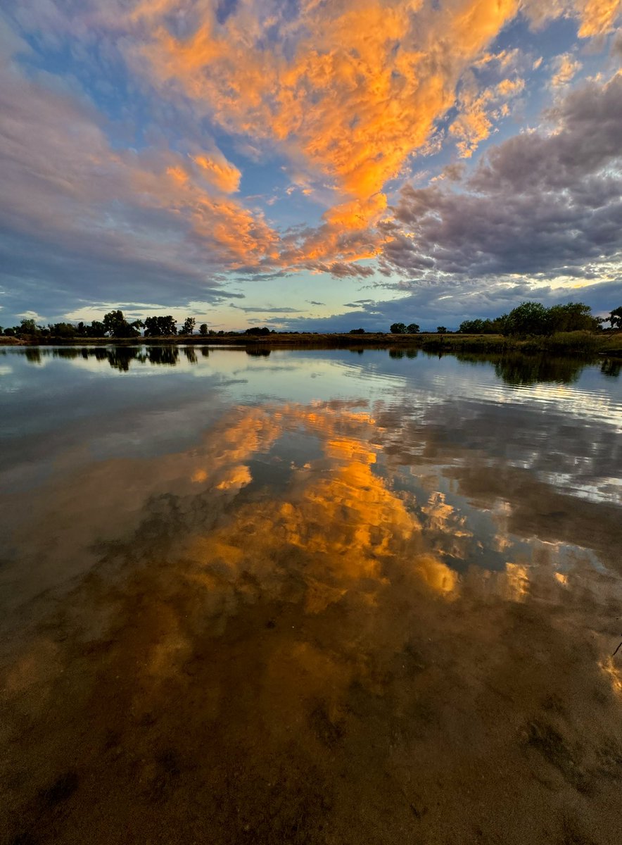 D Miller tweet media