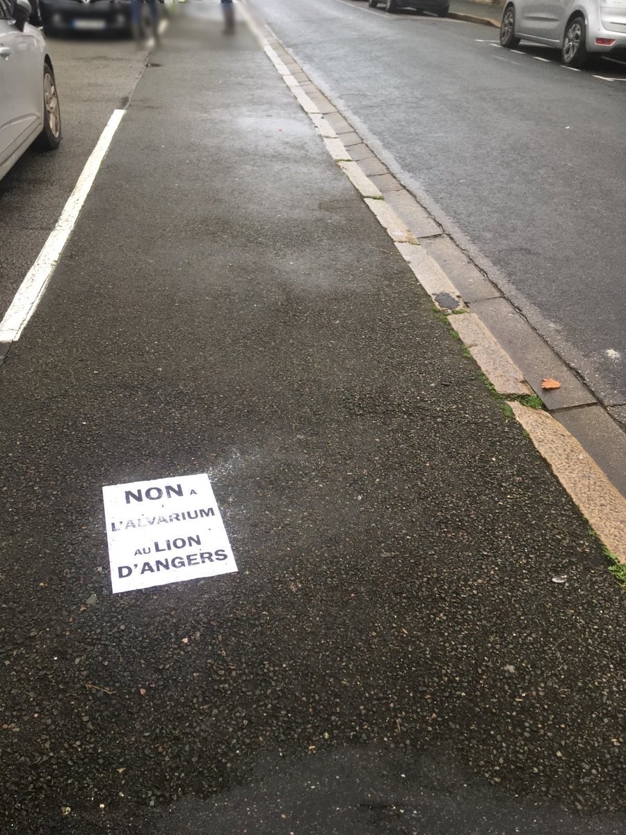 AngersRaaf's tweet image. Non à l'Alvarium au Lion d'Angers". Un collage explicite qui résume bien la réalité ! 👏