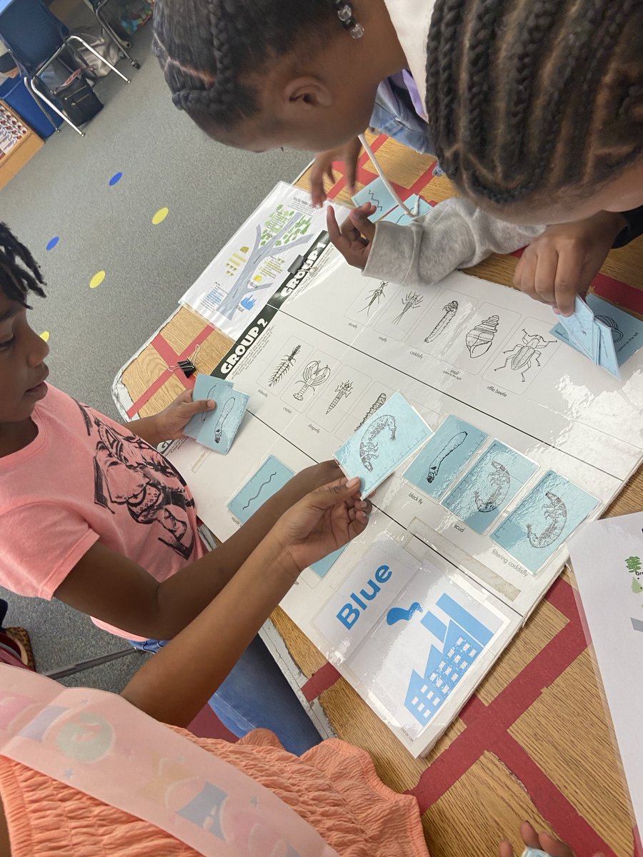 Zannetechnology's tweet photo. Grade 3 had a blast learning about #macroinvertebrates in the #STEAM #STEM lab sponsored by #Greensboro Water Resource Program https://t.co/DVFguMQheD