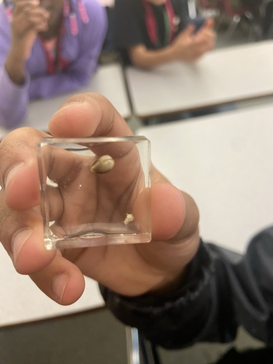 Grade 3 had a blast learning about #macroinvertebrates in the #STEAM #STEM lab sponsored by #Greensboro Water Resource Program