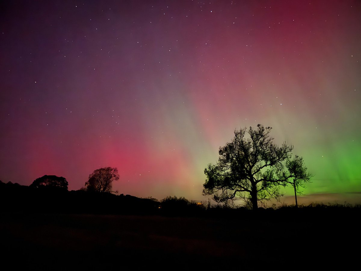 Ben La𝕏 tweet media