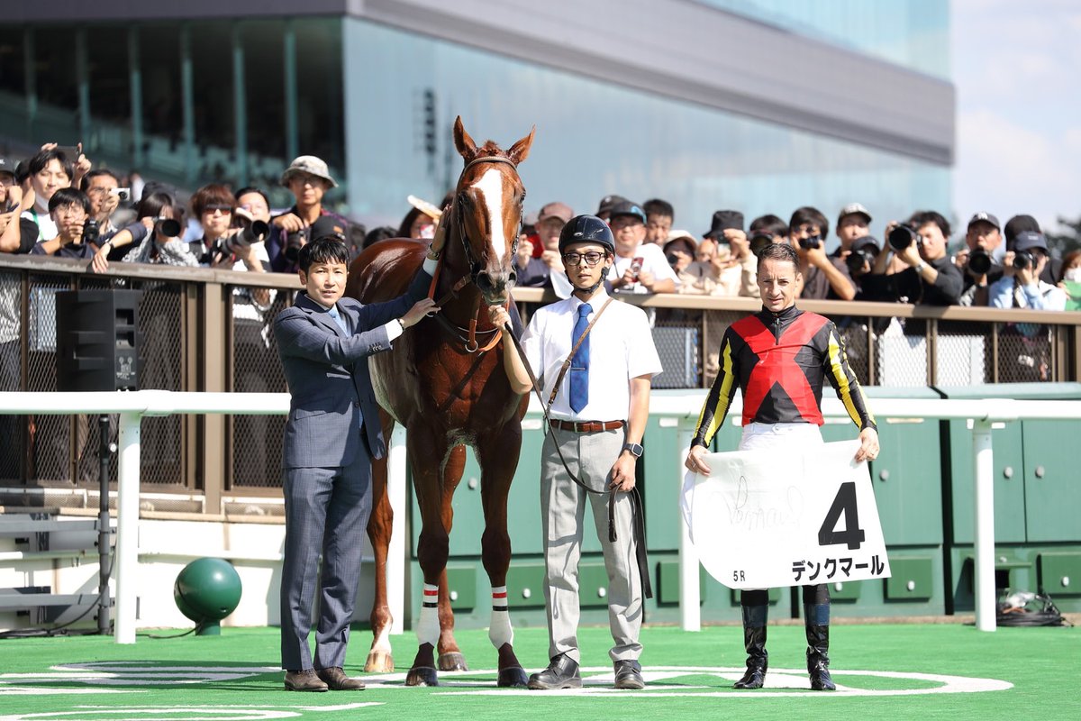 HTanaka_stable's tweet photo. 先週の回顧になります。レモンポップを含めて3日間で3勝することができました。関係者の皆様、おめでとうございます＆ありがとうございます。引き続き勝利に対して貪欲にスタッフ一同頑張ってまいります。写真の関係もあり、南部杯の回顧は次のポストでつぶやきます。写真は武田明彦カメラマン(@Aki_piko)です。

2024年10月13日(日)
・東京1R
クラリネットソナタ  佐々木大輔騎手　4着

「軽い走りをするところがみられ、芝のレースに使いましたが、伸び切れない面がありました。ちょっとジリジリするところがあったことを考えると、現状ではダートが良さそうです。脚元が固まり切っていないところもあるので、様子を見ながら進めていきます」

 #クラリネットソナタ
 #佐々木大輔 騎手
 #社台RH 様

・東京6R
ウェットシーズン  三浦皇成騎手　1着

「人間との関係性に課題はまだ残しますが、鞍上の三浦騎手が返し馬のときから考えてコンタクトを取ってくれましたし、レースでも外目の3番手で上手に折り合ってくれ、力を出してくれました。未勝利戦を勝ったときはソラを使うなどまだまだ子供っぽいところもありましたが、徐々に精神面での成長も感じさせます。まだまだ上で戦える馬だと思うので、課題をしっかりと解決していきます」

 #ウェットシーズン
 #三浦皇成 騎手
 #ゴドルフィン 様

2024年10月14日(月）
・東京5R
デンクマール　Cルメール騎手　1着

「バランスや手前の替え方に課題を残していましたが、レースでは上手く走ってくれました。いいものがあるのは調教で分かっていましたが、勝ち内容、時計、上がりも良かったと思います。結果的にハナへ行く競馬になったことでリズム良く走れたのは間違いないでしょう。今回は芝1800ｍでの勝利でしたが、ルメール騎手は1600ｍだと、もっとパフォーマンス上がってもいいということを言っていたので、再度、吟味して今後の番組を検証していく予定です」

 #デンクマール
 #Cルメール 騎手
 #サンデーR 様

★コメント、ハッシュタグはスタッフがまとめています。
