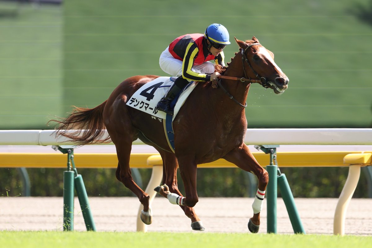 HTanaka_stable's tweet photo. 先週の回顧になります。レモンポップを含めて3日間で3勝することができました。関係者の皆様、おめでとうございます＆ありがとうございます。引き続き勝利に対して貪欲にスタッフ一同頑張ってまいります。写真の関係もあり、南部杯の回顧は次のポストでつぶやきます。写真は武田明彦カメラマン(@Aki_piko)です。

2024年10月13日(日)
・東京1R
クラリネットソナタ  佐々木大輔騎手　4着

「軽い走りをするところがみられ、芝のレースに使いましたが、伸び切れない面がありました。ちょっとジリジリするところがあったことを考えると、現状ではダートが良さそうです。脚元が固まり切っていないところもあるので、様子を見ながら進めていきます」

 #クラリネットソナタ
 #佐々木大輔 騎手
 #社台RH 様

・東京6R
ウェットシーズン  三浦皇成騎手　1着

「人間との関係性に課題はまだ残しますが、鞍上の三浦騎手が返し馬のときから考えてコンタクトを取ってくれましたし、レースでも外目の3番手で上手に折り合ってくれ、力を出してくれました。未勝利戦を勝ったときはソラを使うなどまだまだ子供っぽいところもありましたが、徐々に精神面での成長も感じさせます。まだまだ上で戦える馬だと思うので、課題をしっかりと解決していきます」

 #ウェットシーズン
 #三浦皇成 騎手
 #ゴドルフィン 様

2024年10月14日(月）
・東京5R
デンクマール　Cルメール騎手　1着

「バランスや手前の替え方に課題を残していましたが、レースでは上手く走ってくれました。いいものがあるのは調教で分かっていましたが、勝ち内容、時計、上がりも良かったと思います。結果的にハナへ行く競馬になったことでリズム良く走れたのは間違いないでしょう。今回は芝1800ｍでの勝利でしたが、ルメール騎手は1600ｍだと、もっとパフォーマンス上がってもいいということを言っていたので、再度、吟味して今後の番組を検証していく予定です」

 #デンクマール
 #Cルメール 騎手
 #サンデーR 様

★コメント、ハッシュタグはスタッフがまとめています。