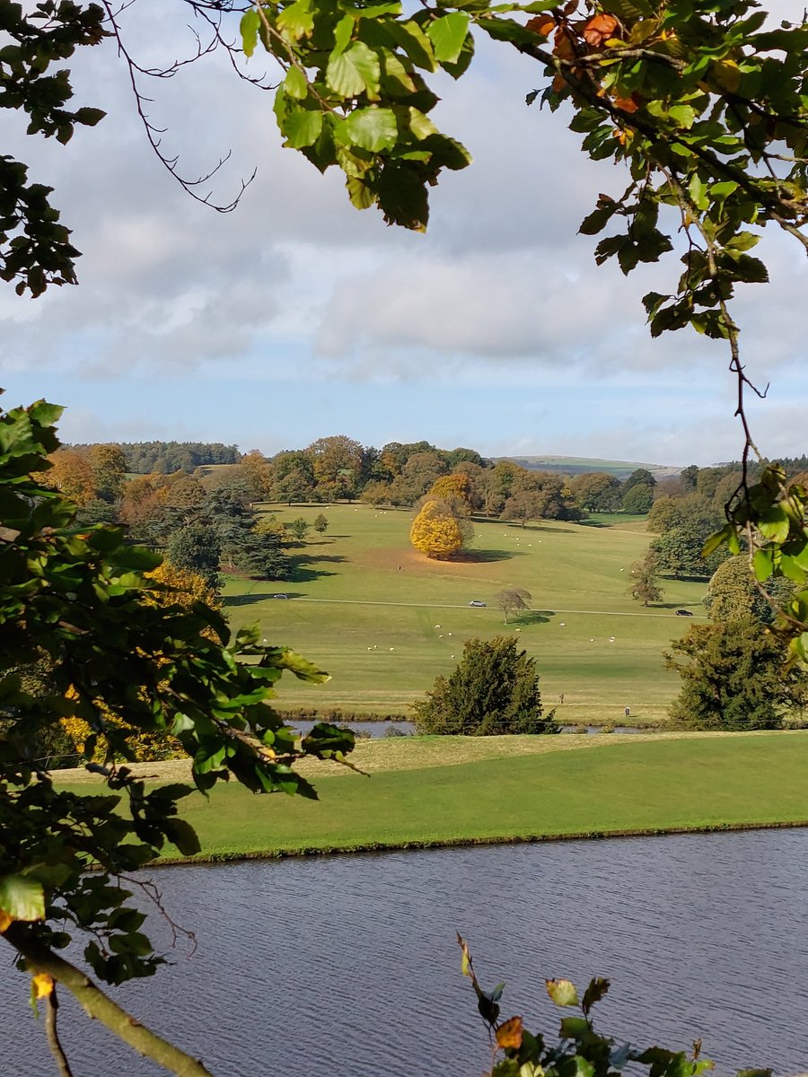 Judith L (@mercurycards) on Twitter photo Good morning! On this cloudy Yorkshire morning a pic from Derbyshire blue sky day. #autumn #colour #Chatsworth #Derbyshire #peakdistrict #inspiration #NatureTherapy #woodland #walk #optoutside <a href="/ChatsworthHouse/">Chatsworth</a> <a href="/CountryfileMag/">Countryfile Magazine</a> @WoodlandTrust 🌳 Good morning! On this cloudy Yorkshire morning a pic from Derbyshire blue sky day. #autumn #colour #Chatsworth #Derbyshire #peakdistrict #inspiration #NatureTherapy #woodland #walk #optoutside <a href="/ChatsworthHouse/">Chatsworth</a> <a href="/CountryfileMag/">Countryfile Magazine</a> @WoodlandTrust 🌳