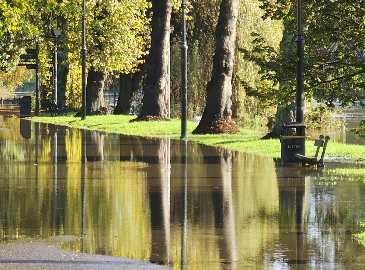 Tom Lowe tweet media