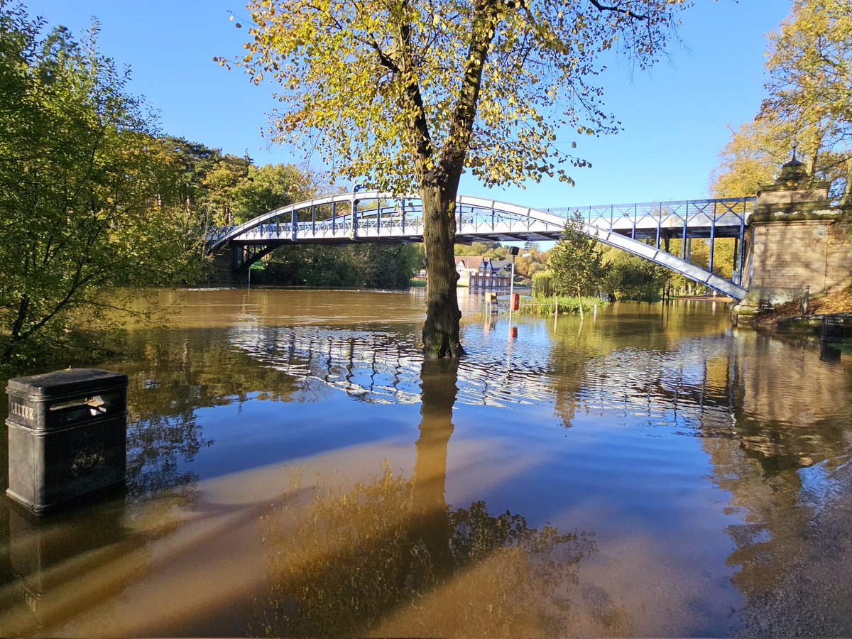 Tom Lowe tweet media