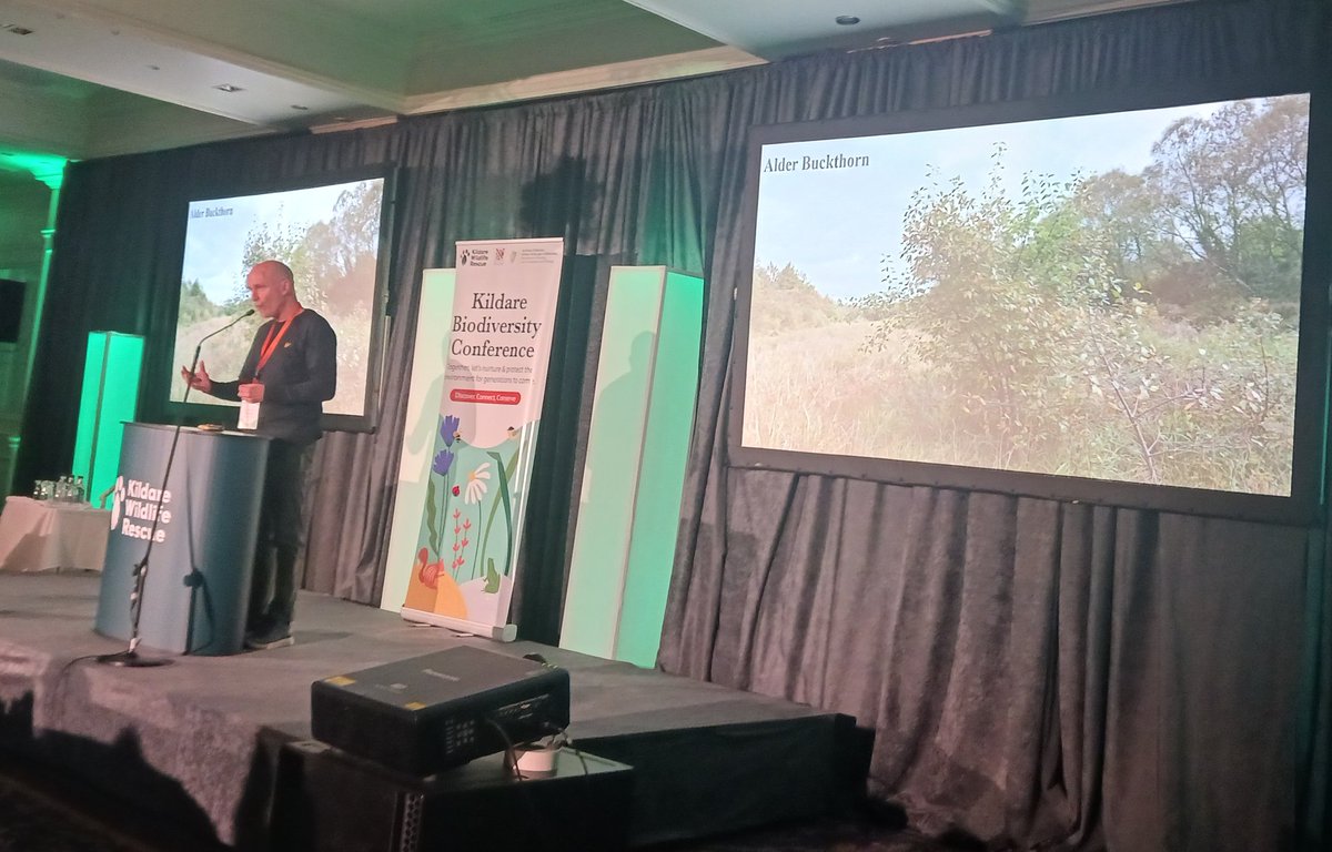 Jesmond Harding from Butterfly Conservation Ireland giving us fascinating insights into our butterflies and moths and how to manage land effectively to provide habitat for them. However, he reports that this year was the worse he has seen for numbers. #KildareBioCon24