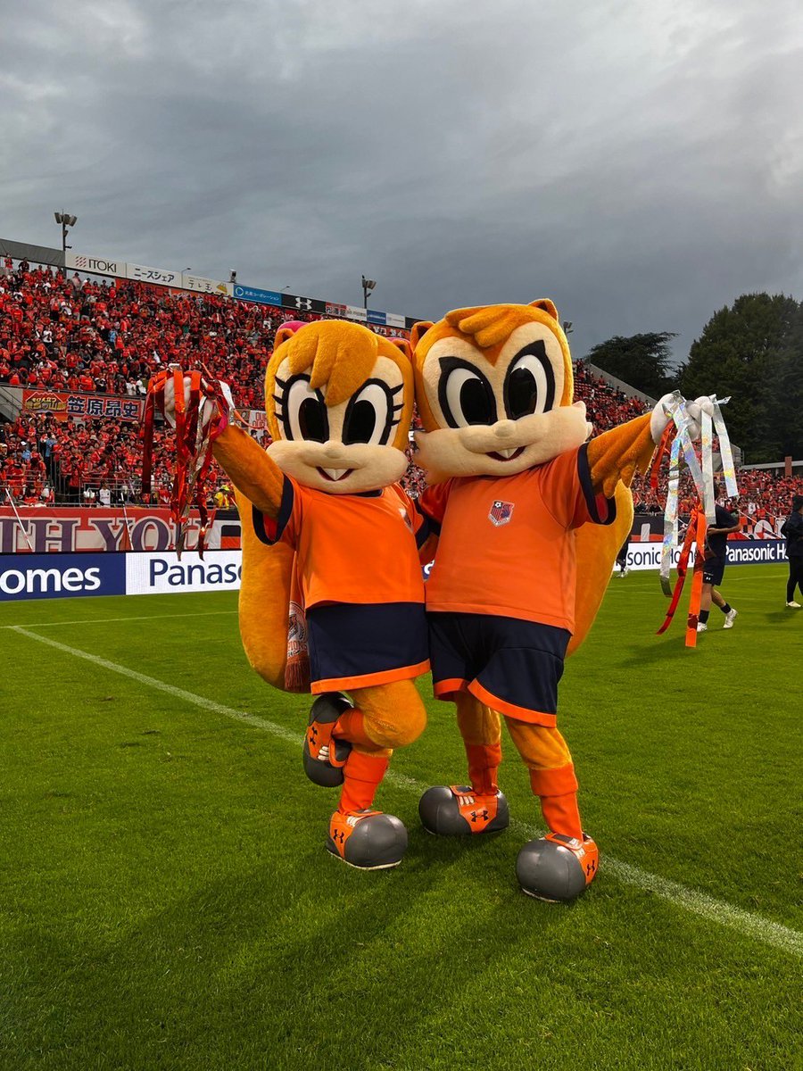 今日も試合開始前から、スタジアムの雰囲気最高だった😭🧡
寝ても覚めても僕は大宮アルディージャが大好きだ🐿️🐿️🏆
#ardy