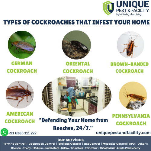 pest_unique's tweet photo. We employ advanced techniques to effectively manage and eliminate cockroach populations, ensuring your home remains a safe haven.

Contact Us: +91 6385 111 222

Visit Us: https://t.co/ynNTHSpdEh

#uniquepestandfacility #pestcontrol #cockroachcontrol #chennai https://t.co/rm4LlINCsU