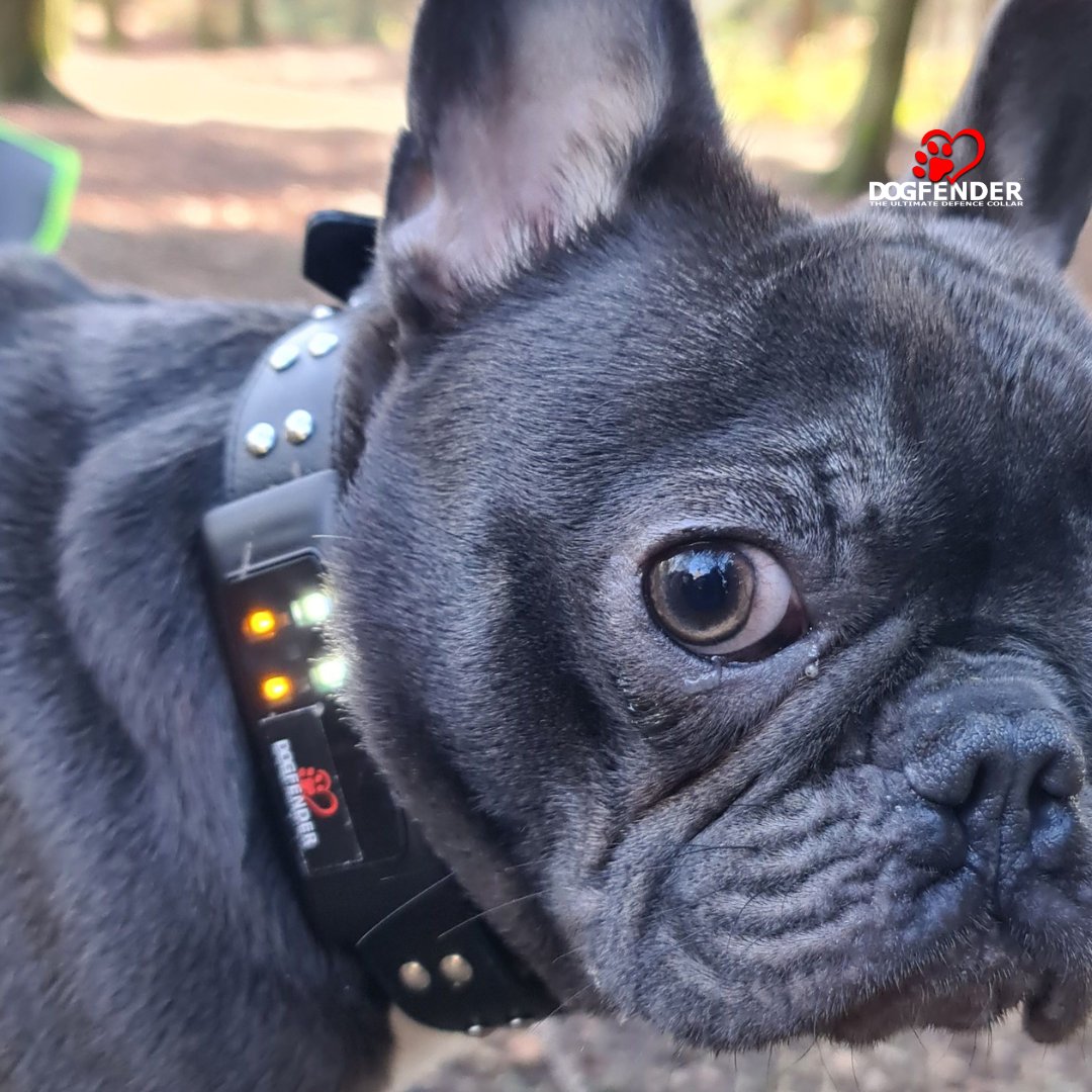 Pet tech and wearables look like a trend that's here to stay. From smart collars to GPS trackers and health monitors, the world of pet tech is booming, and we love it.  DogFender, as a dog defence system, can add value to this growing 'smart pet' movement dogfender.co.uk