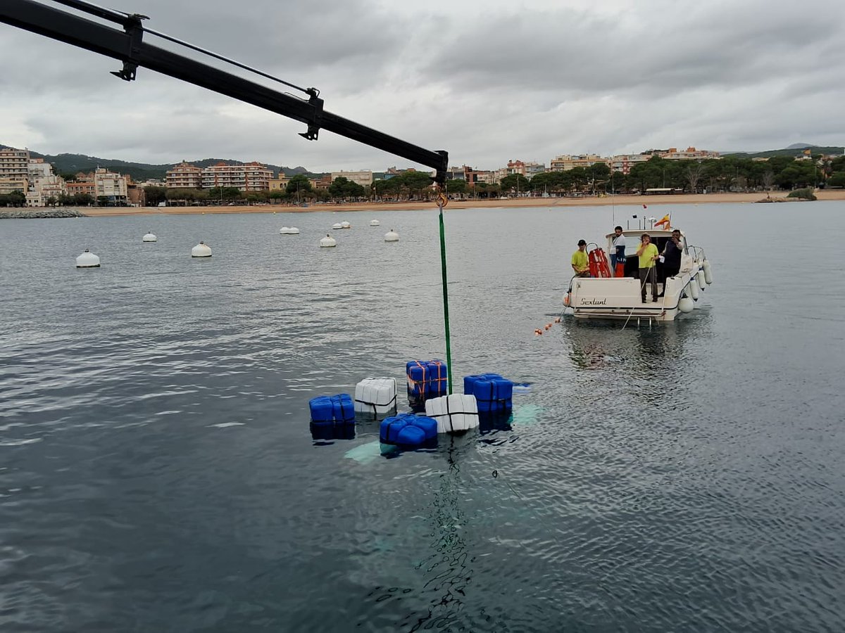 MoesNiot's tweet photo. Main Ballast System (MBS) used for Descent and Ascent function of Human Submersible #MATSYA was tested at OEM @ICTINEU facility and successfully demonstrated the functions during Factory Acceptance Test (FAT) in Harbour at Girona, Spain in the presence of DNV & #NIOT team on 18th Oct 2024.

#MoES #DeepSea #DeepOceanMission #DBS #FAT #OEM 

@narendramodi  
@PMOIndia 
@OfficeOfDrJS 
@DrJitendraSingh 
@Ravi_MoES 
@moesgoi 
@PIB_India 
@mygovindia