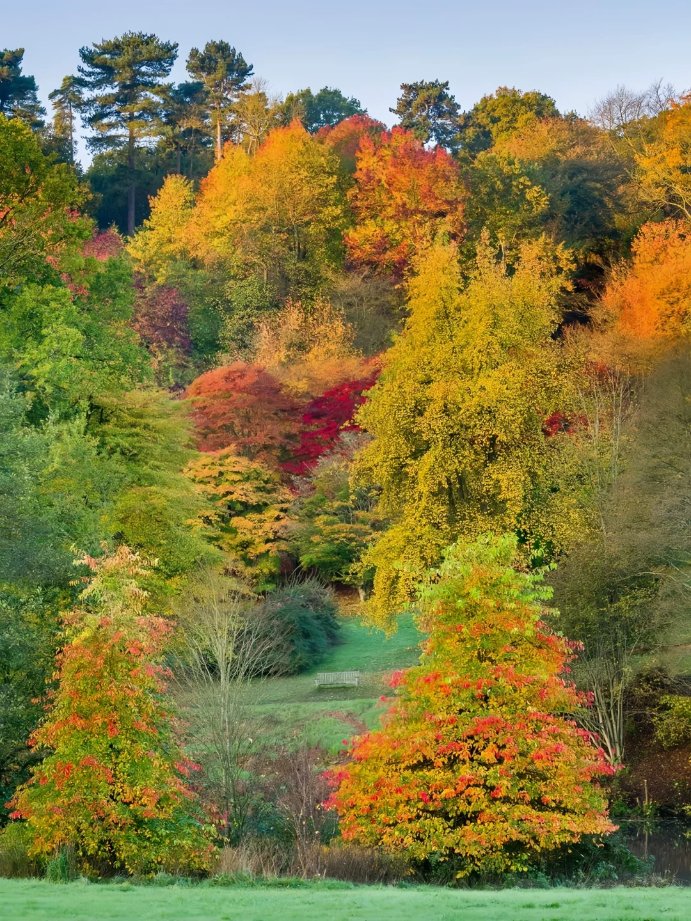 Weirdo669's tweet photo. Stunning foliage around London 🍁 Weekend hike to enjoy the fall colors 🍂
⭐️Winkworth Arboretum National Park
This is one of the most famous places in the UK for fall foliage https://t.co/R62QqJhBHH