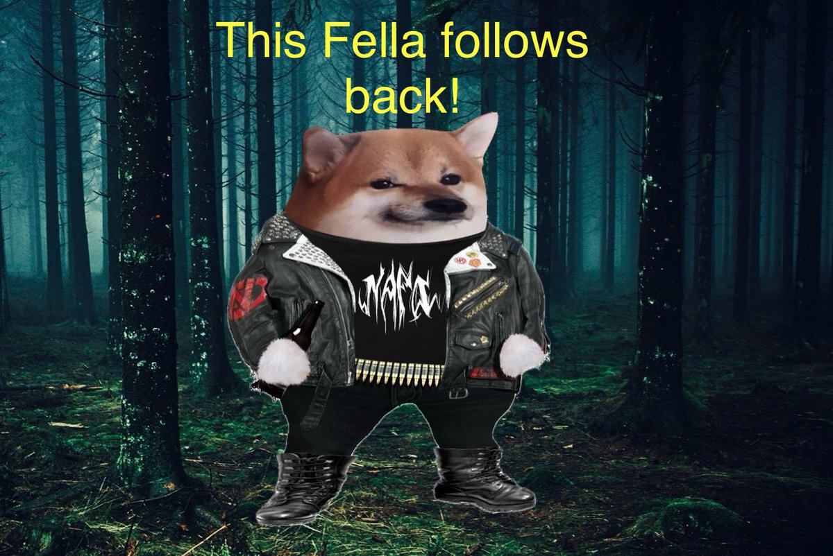 After losing my ”brother”, #fellas please spread the word and help me gain back his followers. 🫡