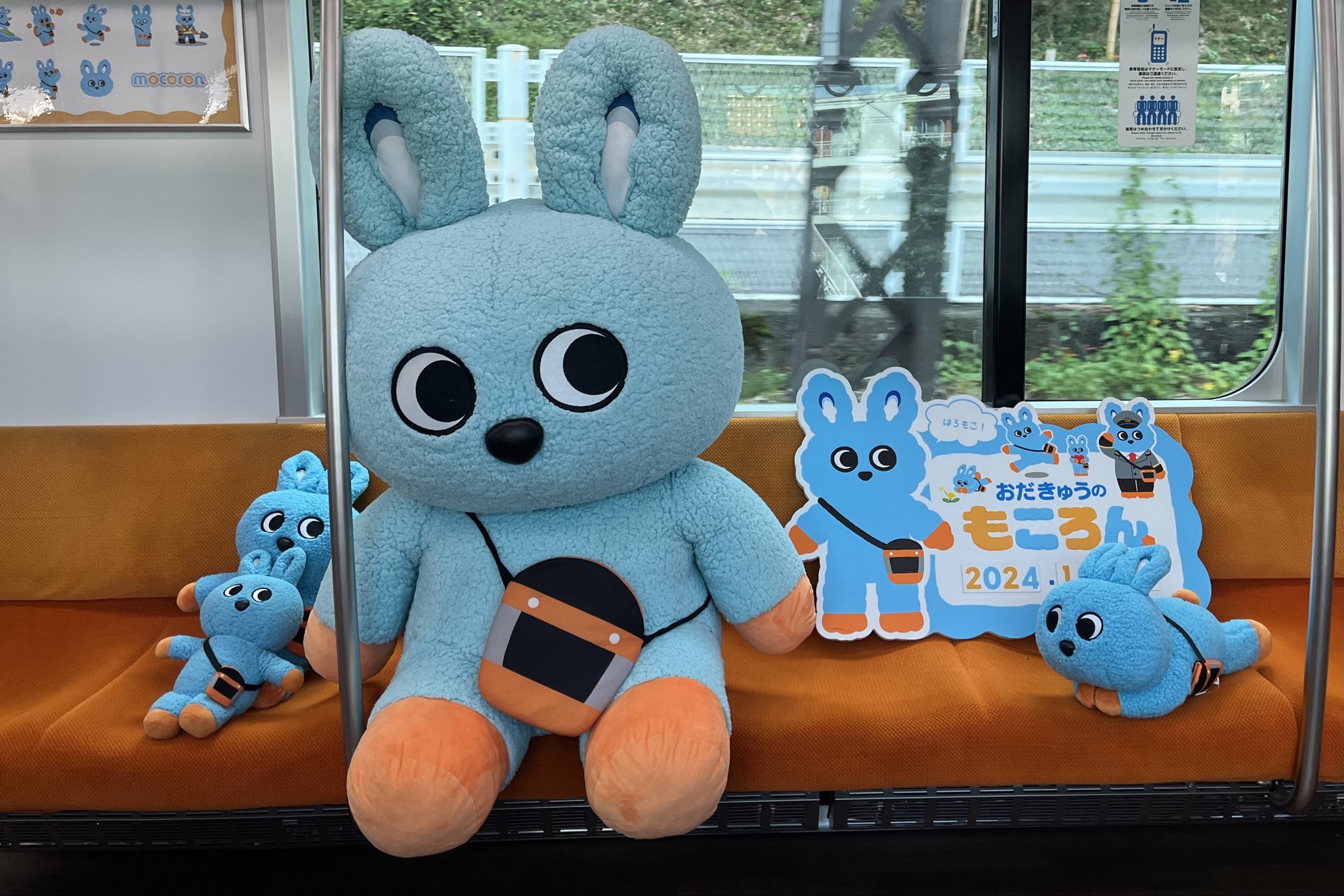 Amazon.co.jp: 小田急 もころん ぬいぐるみ イベント 寝そべり