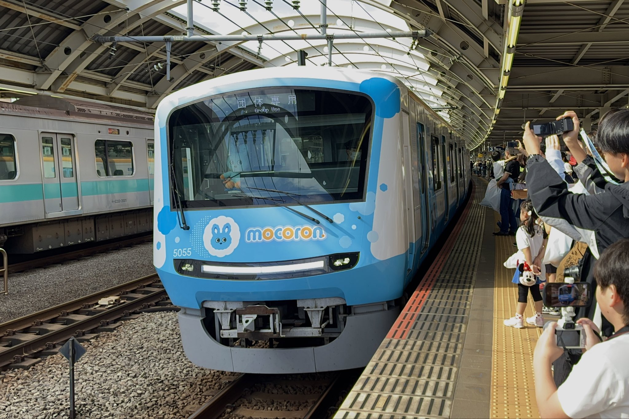 新品】小田急 もころん ぬいぐるみ 40cmタイプ 小田急 もころん