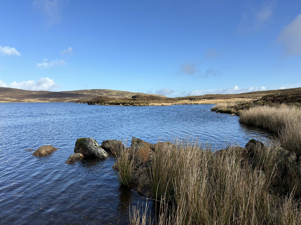 Dro i Llyn Conwy bore ma.