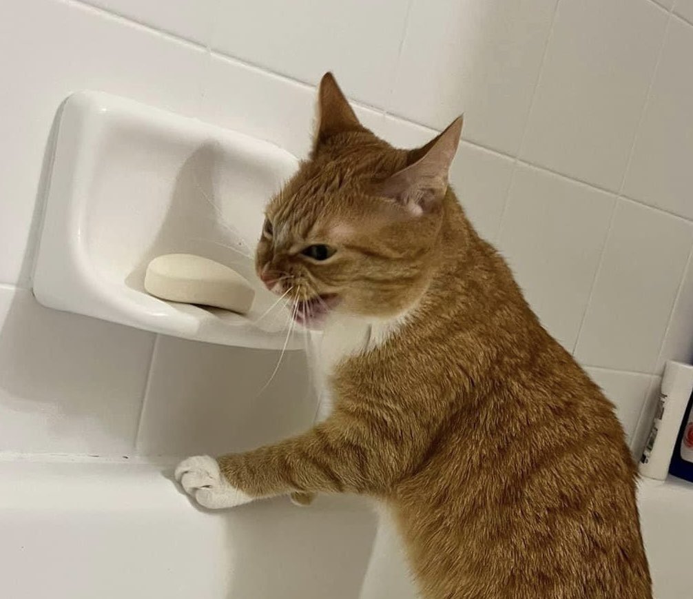 Re-reading your draft