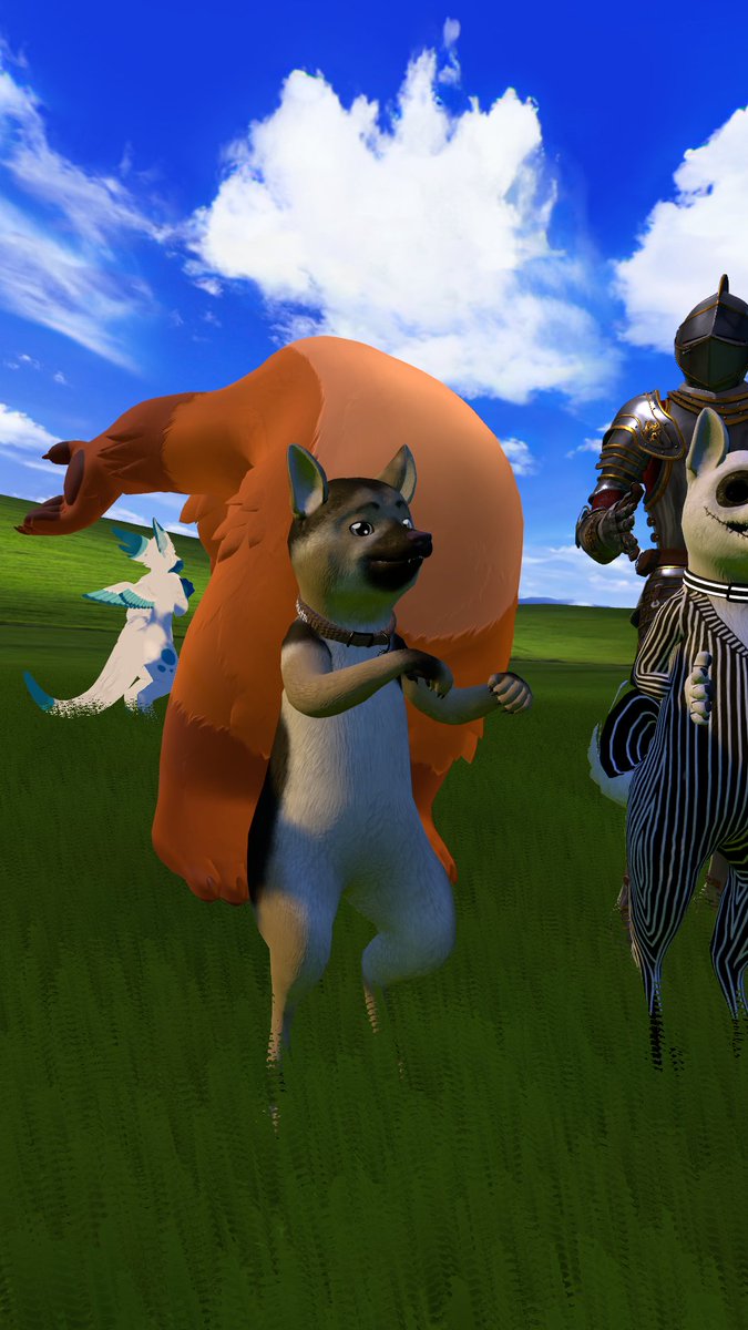 Orion_The_Shiba's tweet image. 