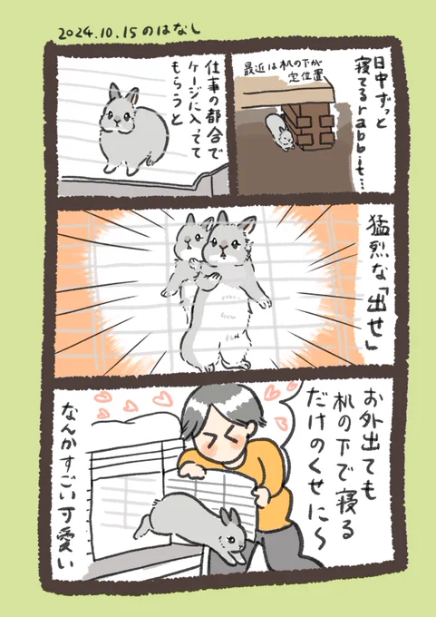 お外大好きでカワイイねえ🥰

#うさぎのいる生活 