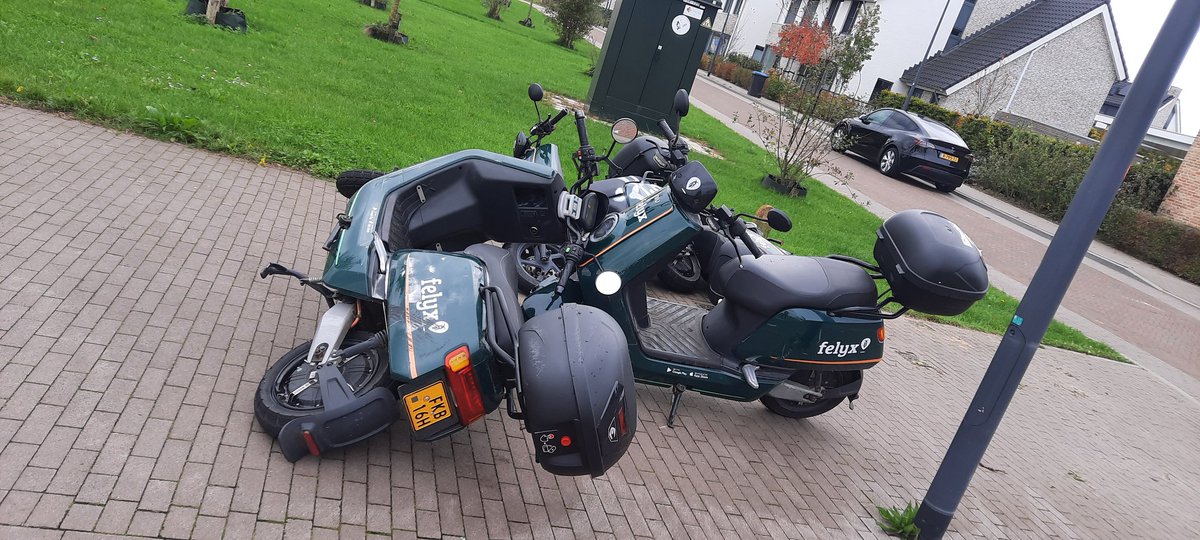 Mooi hè,dat openbaar groen?