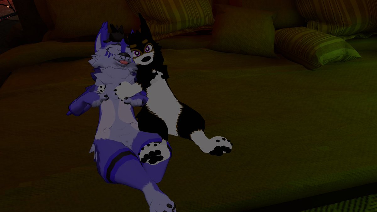 Orion_The_Shiba's tweet image. 