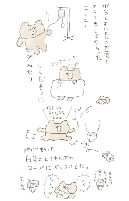 今回の膵炎は発見と処置が早かったので、今のところ重くならずにがんばれています!とはいえ寝てる時間が長かったりだいすきな柿がまだ食べられなかったり、しんどさはあるもよう。もう何日かは点滴しながら気をつけてみていきたい。 