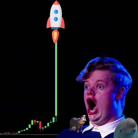 Name this crypto that's gonna 🔥 🚀