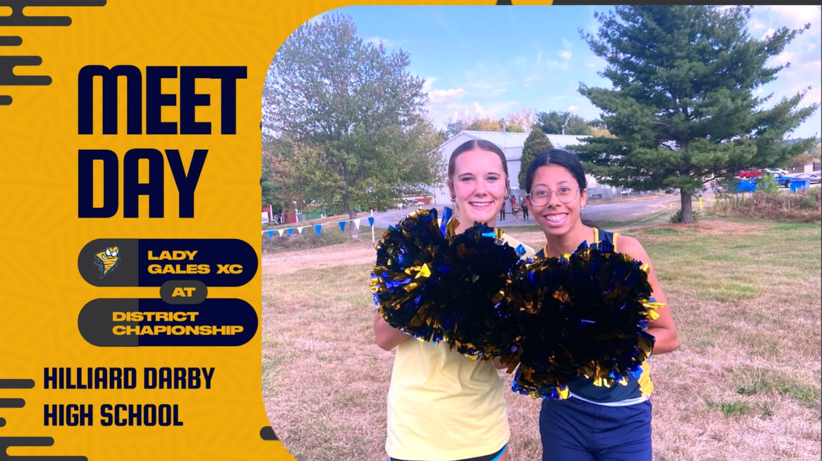 Lady Gales Throws (@lthrows) on Twitter photo 