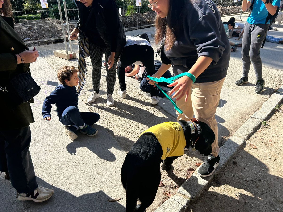 ONCE_oficial's tweet photo. Hace un mes falleció Wisper, futuro #perroguía, atropellado pero mañana puede ser cualquiera… 

🦮https://t.co/0mzbu1a8I4 #SiempreCaminandoJuntos 👣🐾 #FOPG 

Así ha sido el emotivo homenaje y la simulación para ayudar a que se regule la circulación en @_ElRetiro https://t.co/g2dVdwV8jB