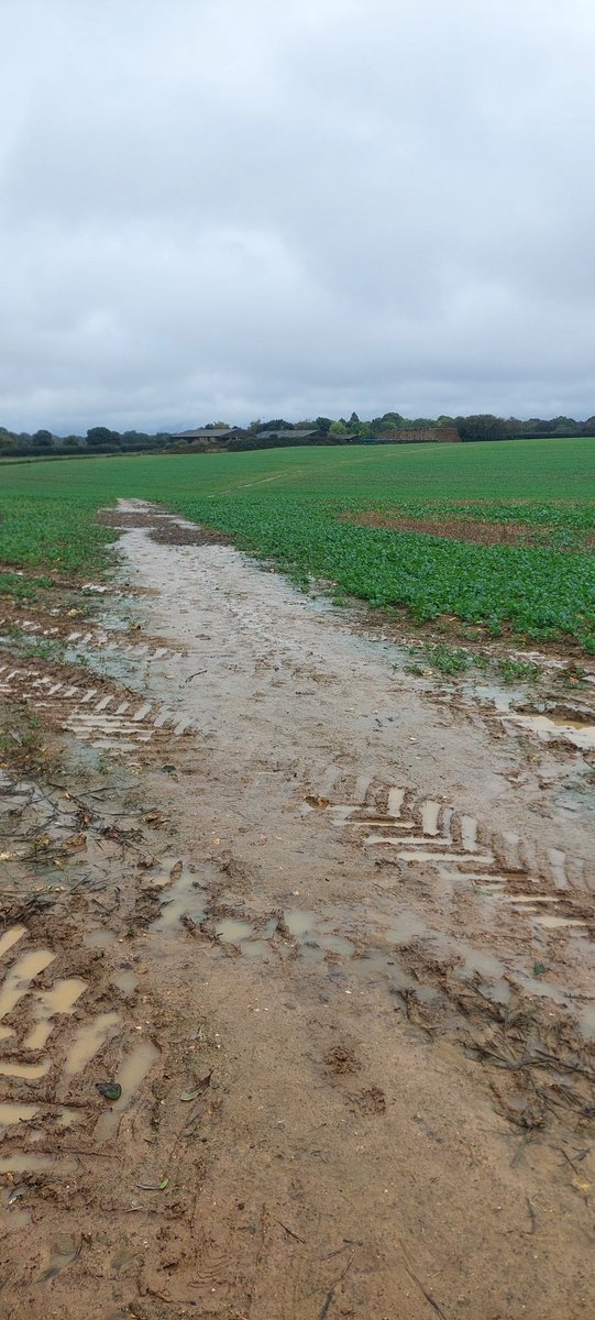 Kenny Wheeler tweet media