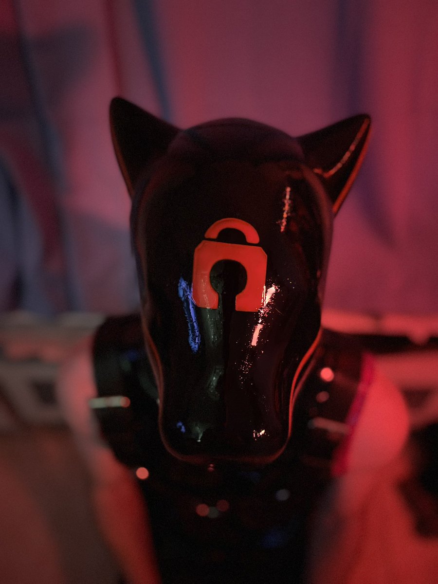 RedPup_Drone's tweet photo. ——[Begin Drone Transformation]——

Finally got all shinned up thanks to Mistress. 
She said I was a good boy. 🤤

Hood @furrjoi01 https://t.co/KY3bK7JViT