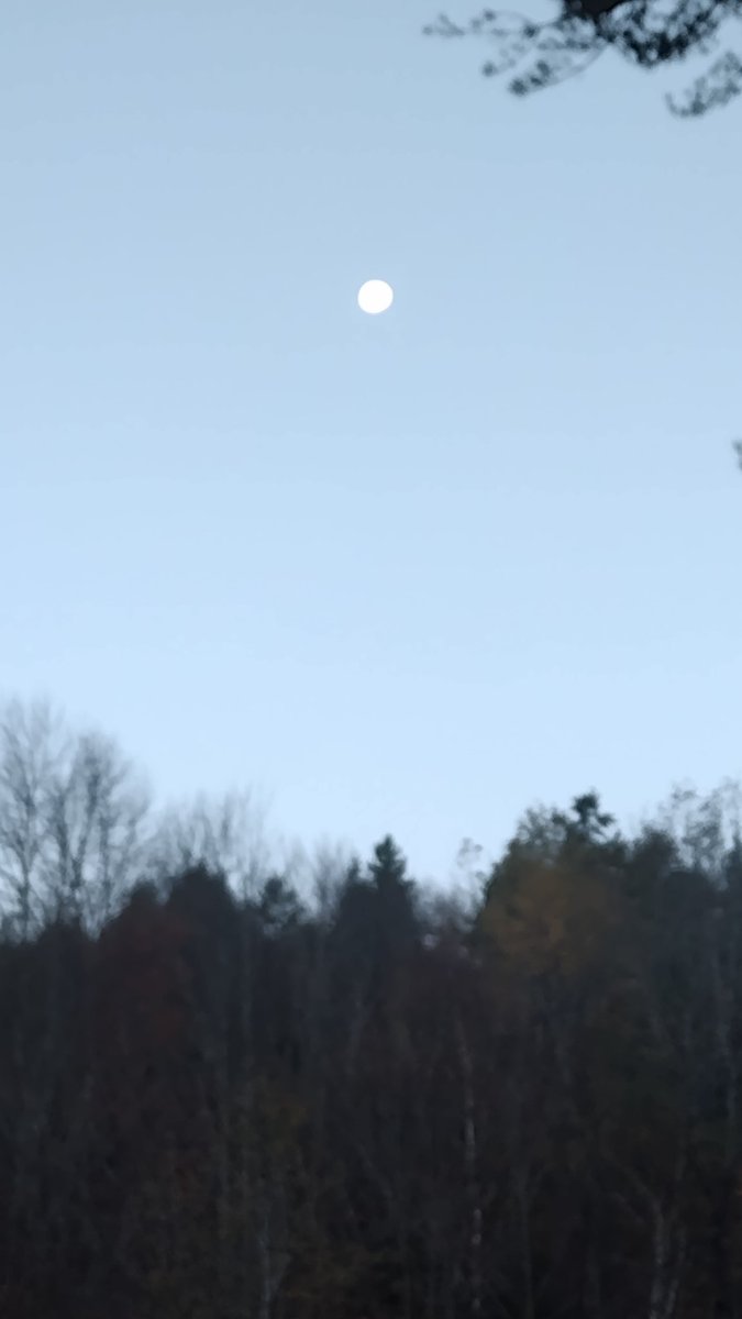 BrightMoments's tweet photo. #MoonTrain @farmerdarrell @EileenLynch130 https://t.co/q10je1MRdD