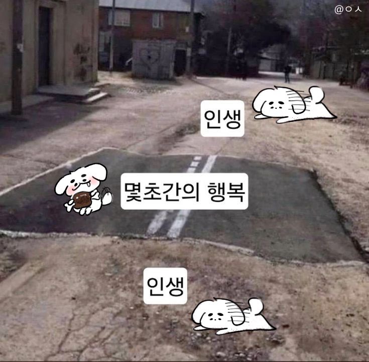 shinaeuoon's tweet photo. 재윤 가나디도 해봣어요 https://t.co/07BcCWISSI