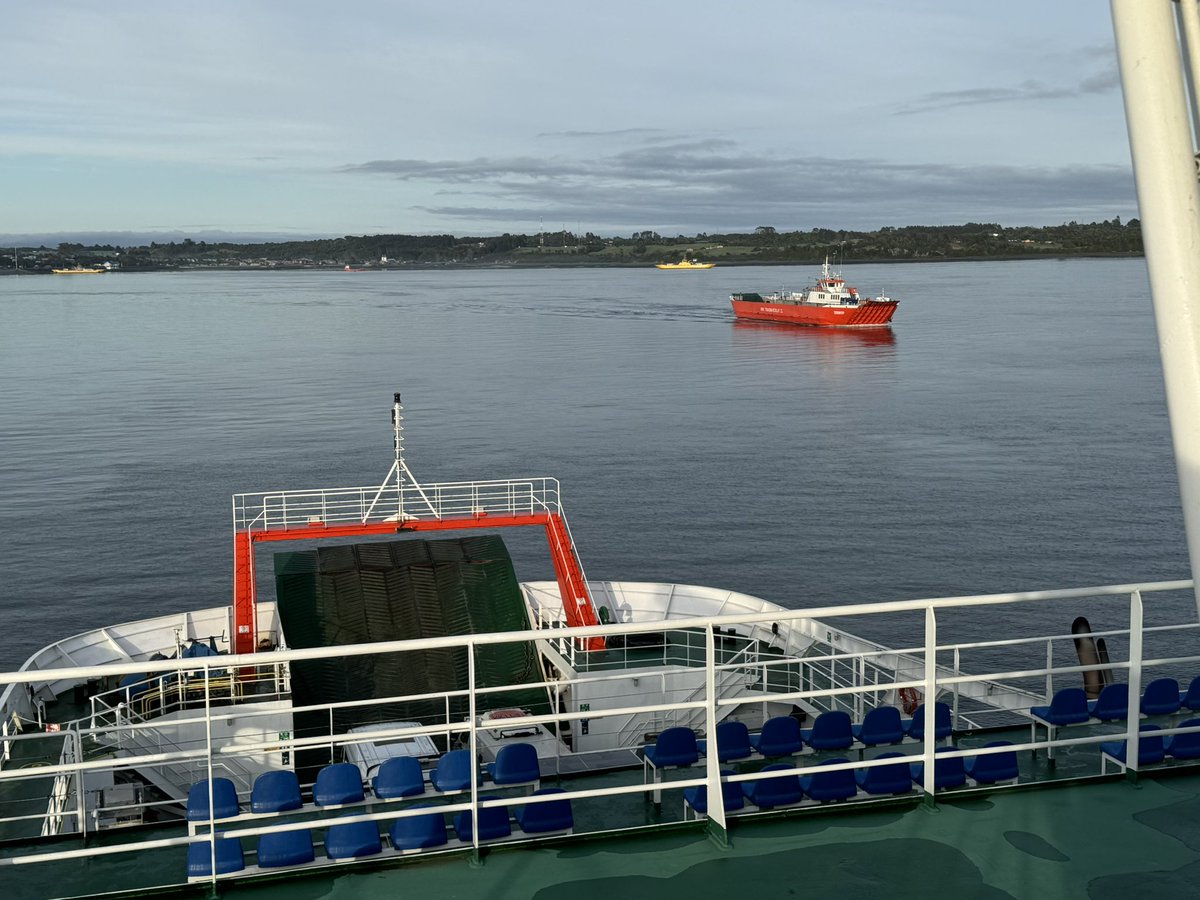 César Hechenleitner tweet media