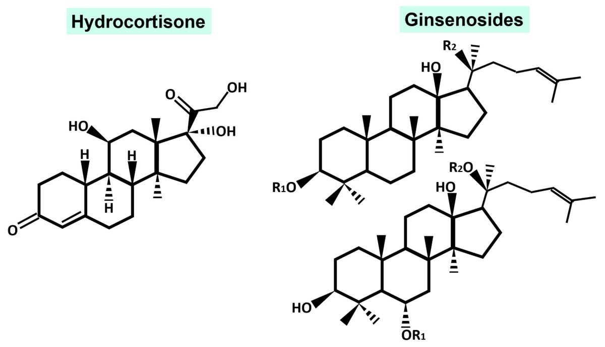 Molecules_MDPI's tweet image. ⭐ Check this Editor's Choice #Review: "Immunomodulatory, Anti-Inflammatory, and Anti-Cancer Properties of Ginseng: A Pharmacological Update" by Valdés-González et al. (@unicomplutense, Spain)
🔗 Paper: brnw.ch/21wNUMv   
📌 #ginsenosides #ginseng #antiinflammatory