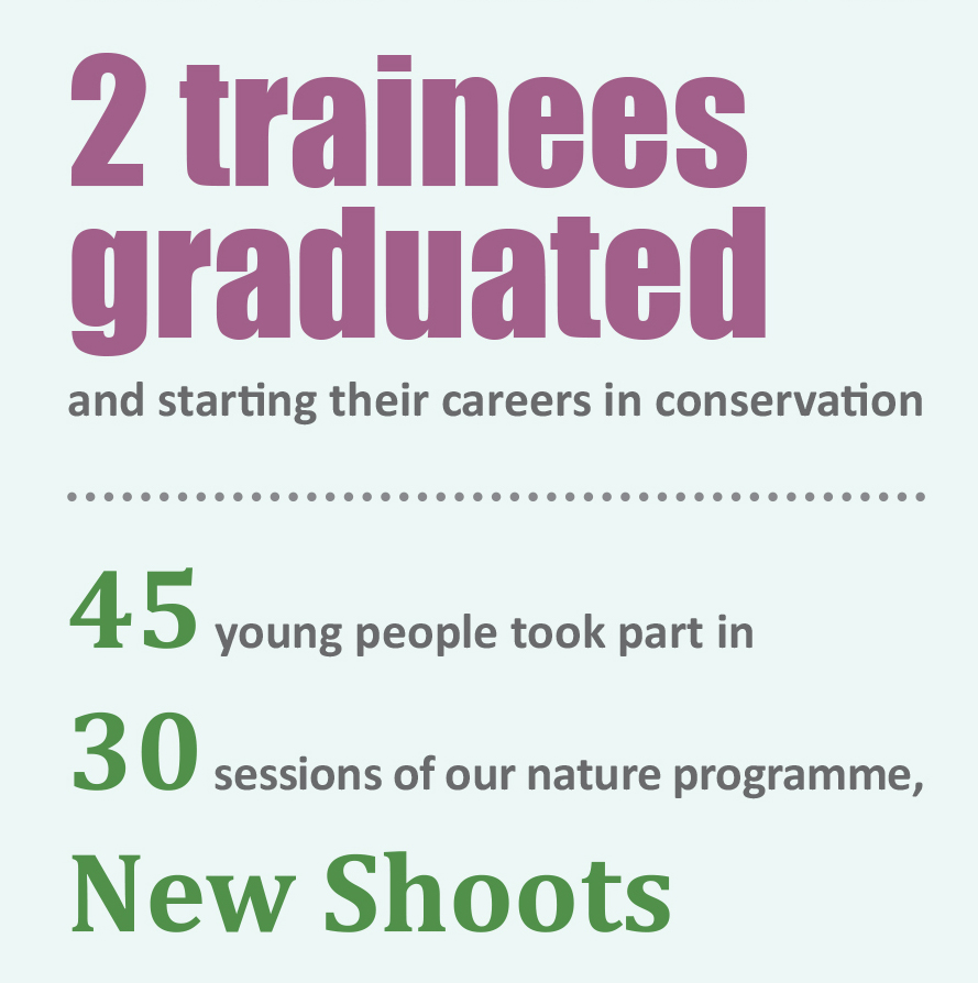 Chalk Cherries and Chairs Team tweet media