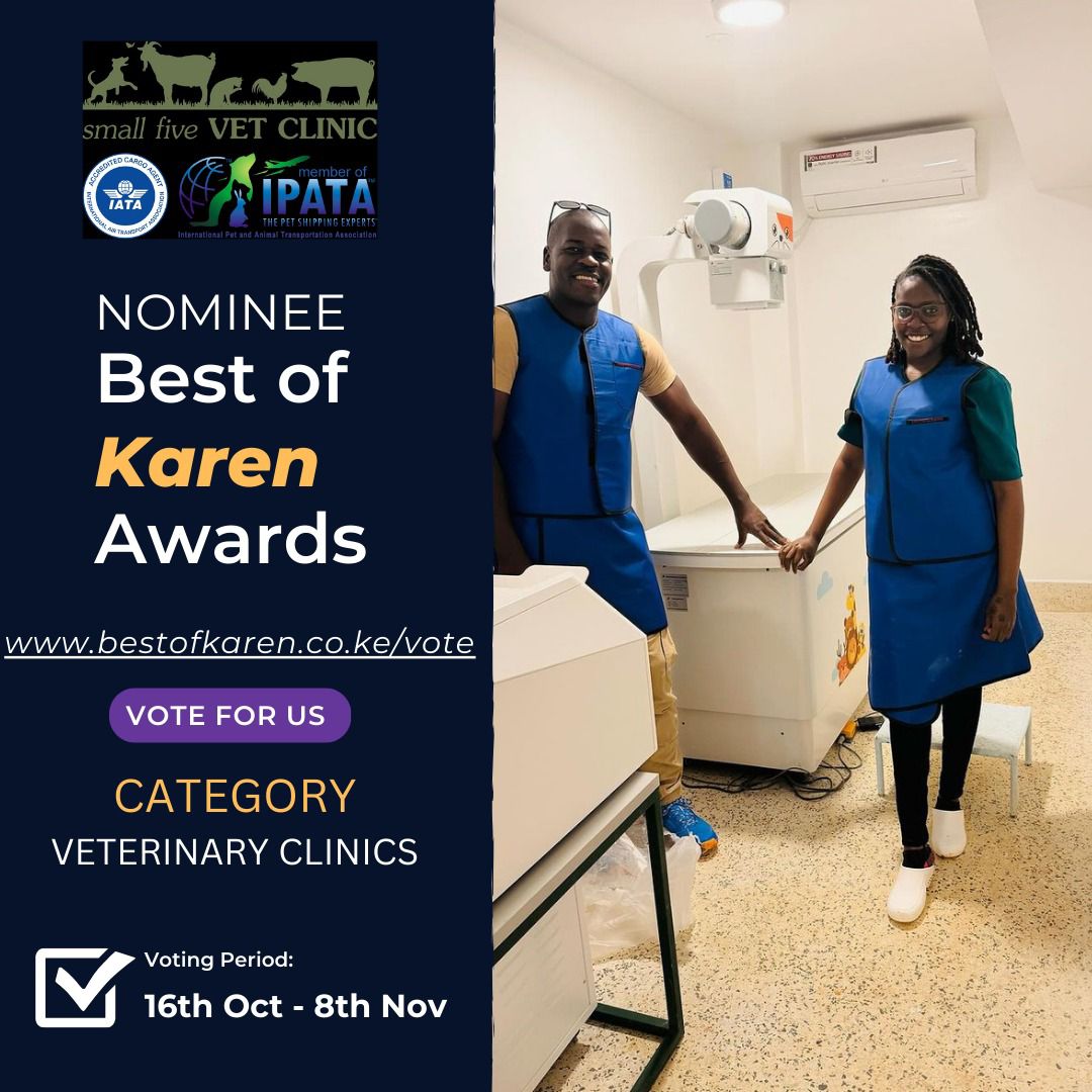 SMALLFIVEVET's tweet photo. Exciting news! 🎉 Small Five Vet Clinic has been nominated for the Best of Karen Awards in the Veterinary Clinics category! 🏆

We’d love your support—please cast your vote here: https://t.co/QNqGJkxZCS 

Thank you for trusting us with your pets! 🐾 #Awards #bestofkarenawards https://t.co/iqciHLygek