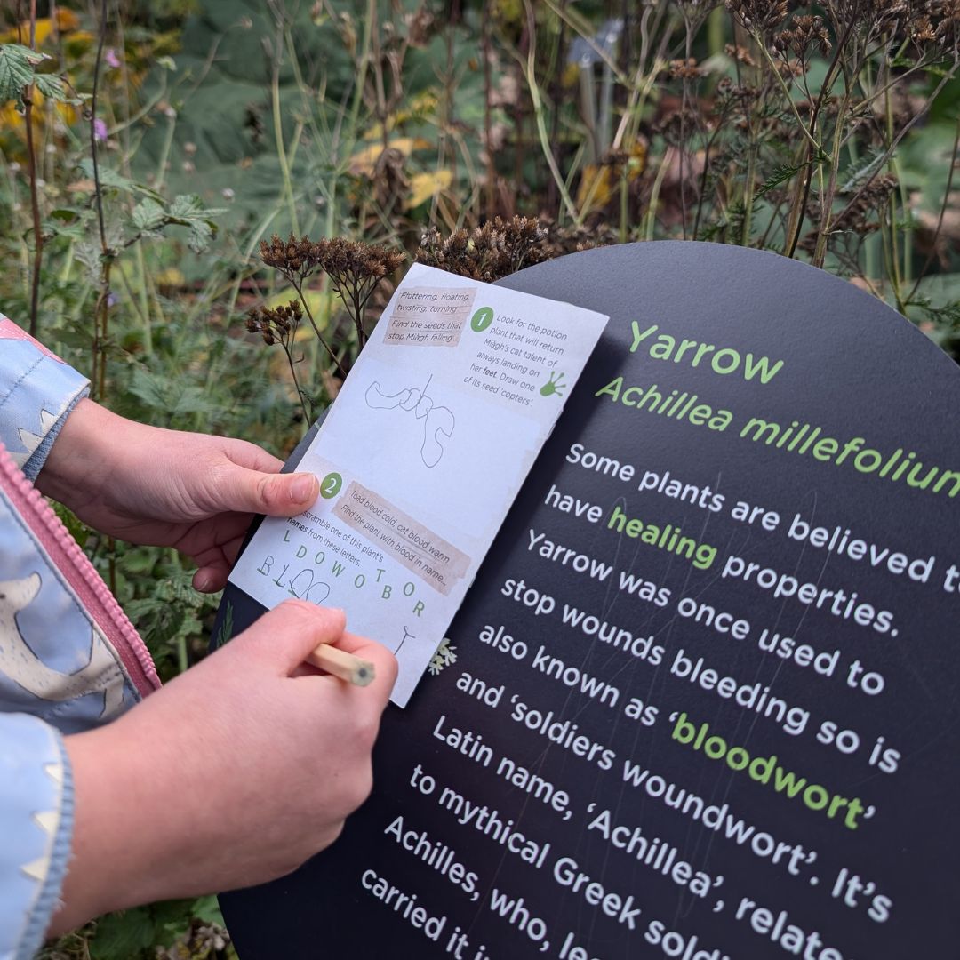 Royal Botanic Garden Edinburgh tweet media