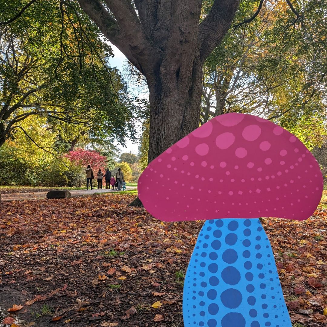 Royal Botanic Garden Edinburgh tweet media