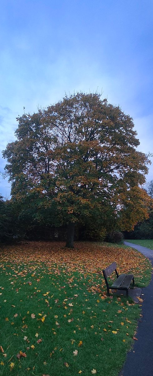 Jesmond Dene parkrun tweet media