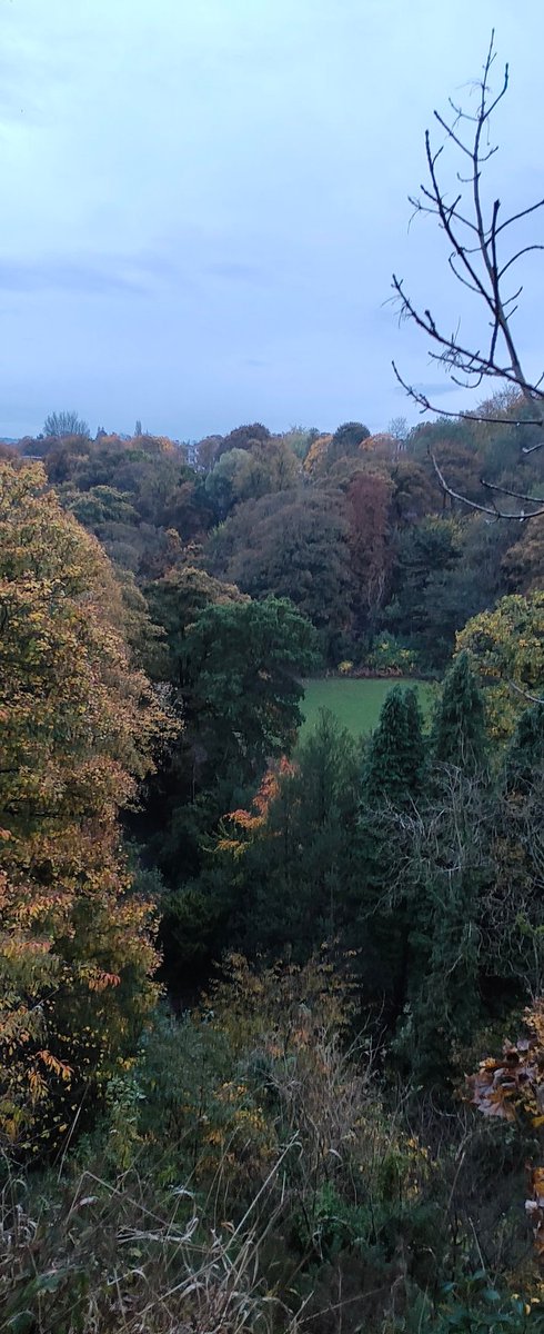 Jesmond Dene parkrun tweet media
