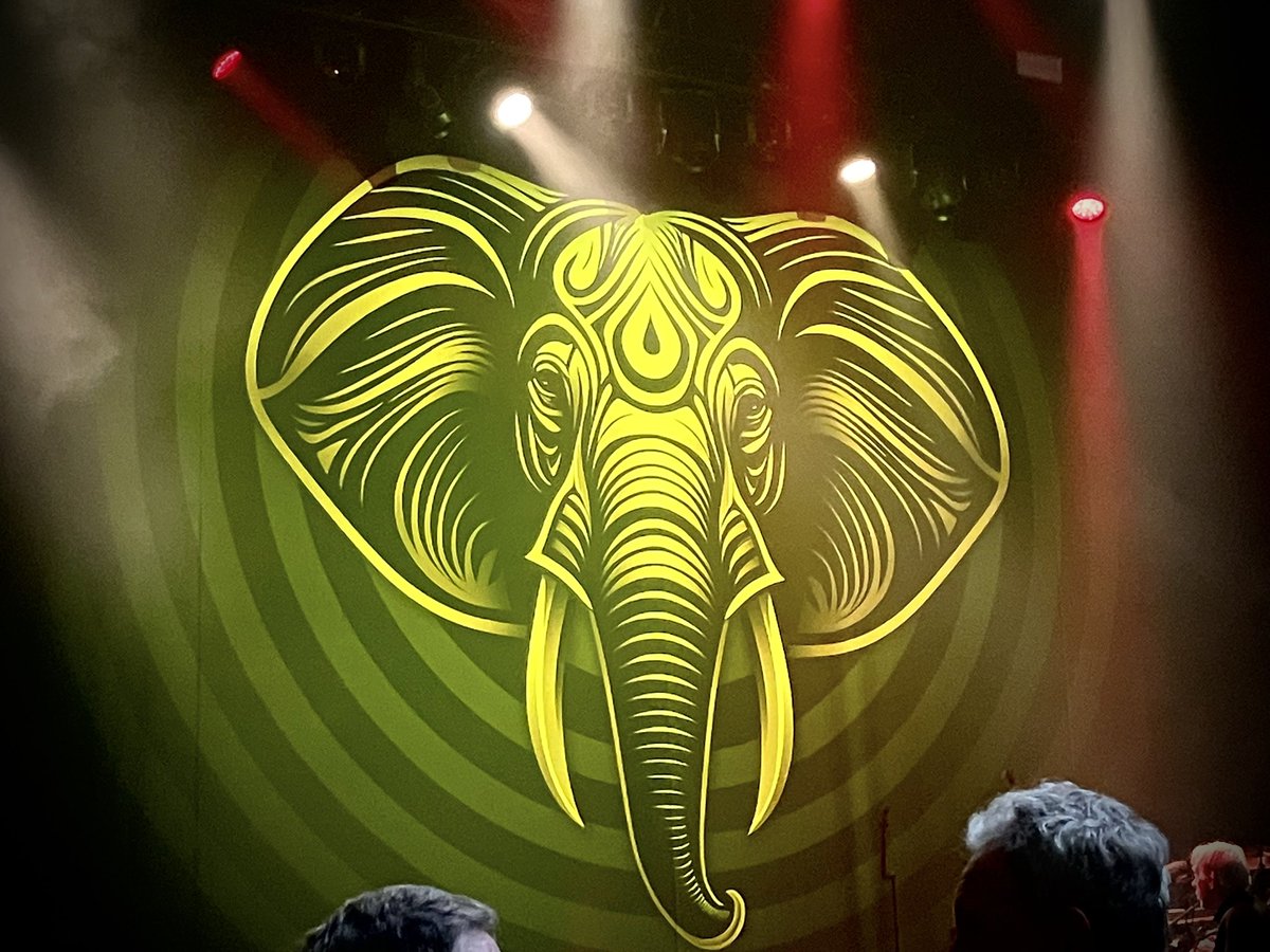 wakingasleep's tweet photo. What a sublime and mind-rearranging experience seeing the #BEATtour last night! The most phenomenal live performance I’ve had the joy to witness. I didn’t think to tip my literal hat, but I tip my proverbial one. Thank you @THEadrianbelew @tonylevin @stevevai and Danny Carrey https://t.co/ot9paSpxHp
