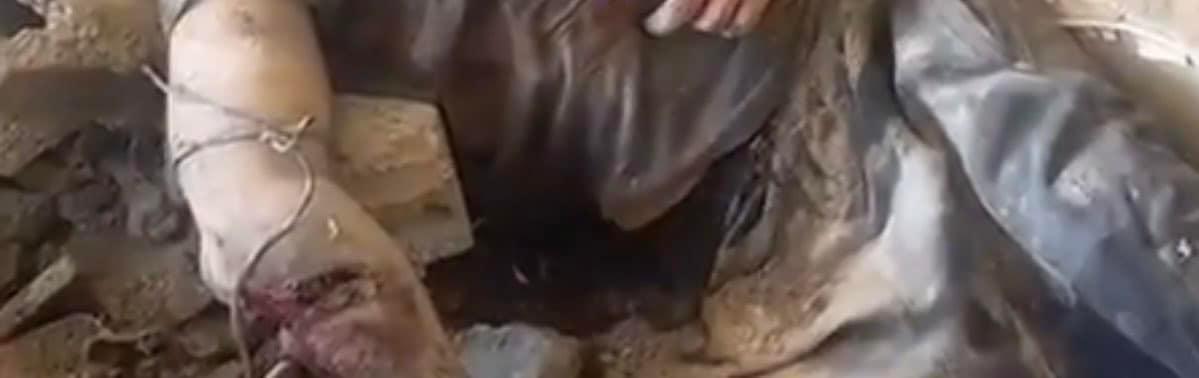 iraq14a's tweet photo. بُترت يمينُه فربطها بسلك حديدي، ثم بقي مشتبكاً بشماله.!!
أيّ رجل هذا في زمن الهوان.
لم يلتفت حتى لانحيازٍ إلى فئة تداوي جراحه.
لقد أقام -تقبله الله- بروحه ودمه الحجة على كل مسلم على وجه الأرض يمكن أن يعتذر بالضعف أو قلة الحيلة.

كل كلامنا لن يوفيك حقك يا سيد الرجال https://t.co/YHTX2IrVQC