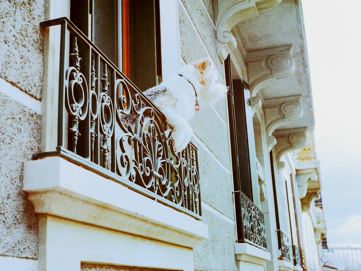 Weeknder tweet media