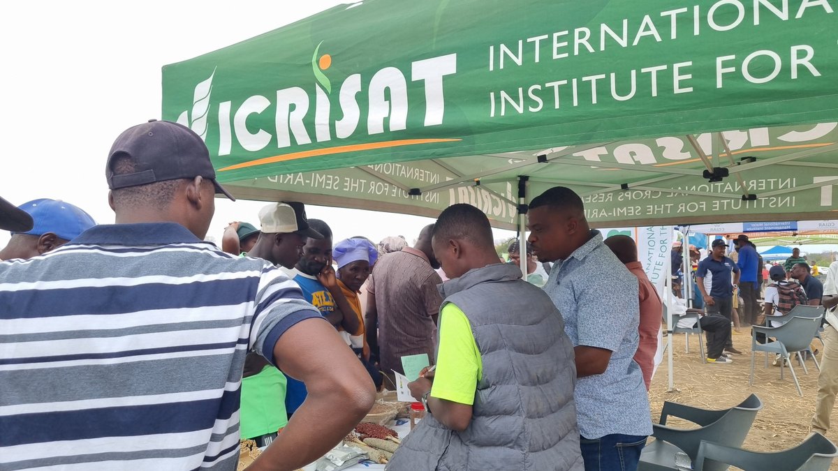 vgpchimonyo's tweet photo. @KudzieChimzy @CGIAR @CIMMYT @CraigMuraz @tellysibbs @dorcasmatangi @panasheila @simonestaiger @FajuRose This year @CGIAR #AgroecologyInitiative led by @CIMMYT brought together @IWMI_ @ICRISAT @ILRI Vet services, #SocialServices, #CareGivers @Hamara @Agrowth @SeedCoZimbabwe @EasiSeedsZim @K2Seed Farmers @Agritex at the 1st ever #AgroecologyFair held in Mbire and Murehwa in 🇿🇼 https://t.co/zfvOlvVN9W