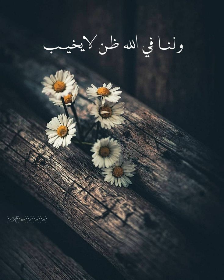 nazo900's tweet photo. ولنا في اللهِ ظَنٌّ لا يخيب🤍.. https://t.co/3JT6nCfFD9