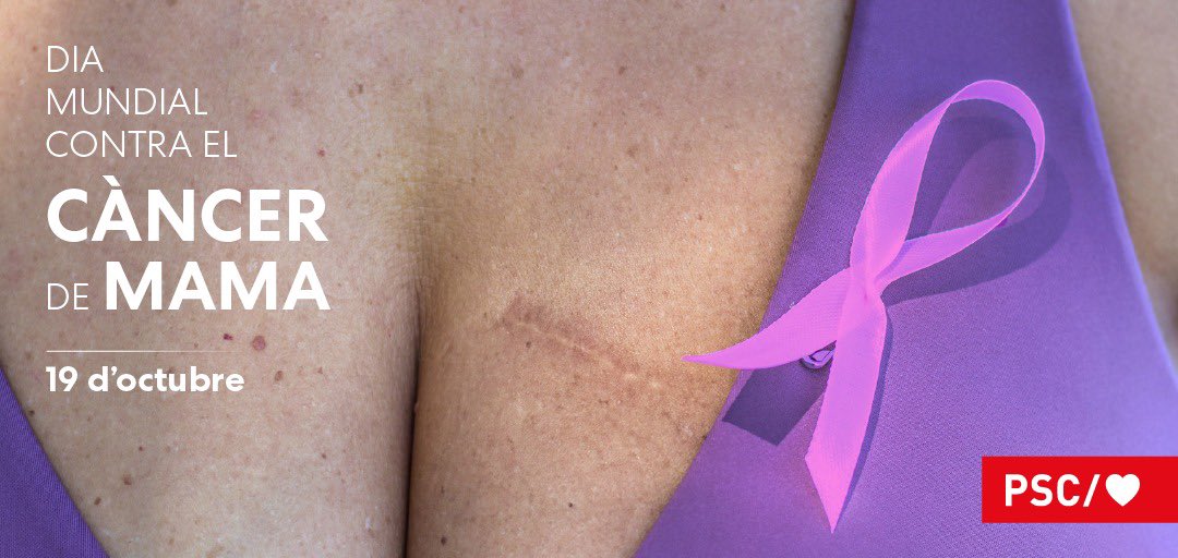 Gràcies a la recerca el càncer de mama és una malaltia curable, però no podem oblidar la importància de l’acompanyament en aquesta lluita. 

Continuar invertint en recerca és l’única manera de garantir l’esperança de vida de totes les diagnosticades 🩷

#CancerDeMama