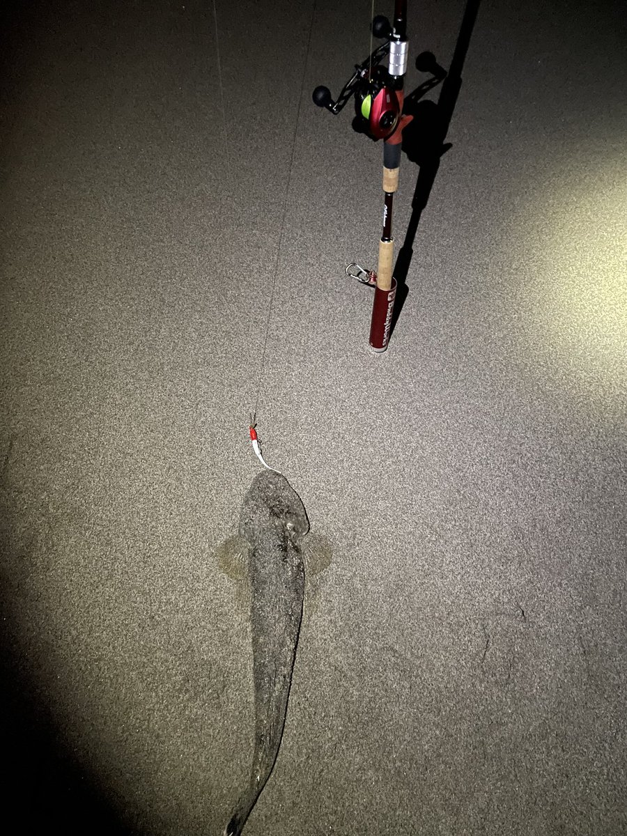 247fishingclub's tweet photo. 今日はマゴチとチヌを水揚げでした。

#247fishingclub
#247fishingclub_plus
#lurefishing
#duo
#abugarcia
#abugarciarevobeastrocket
#fishman
#ブリストマリノ9.9H
#IOS_FACTORY
#IOS01_PRO
#IOS02_PRO
#釣り好きな人と繋がりたい
#ベイトサーフ
#ベイトタックル https://t.co/ykHullhTHM